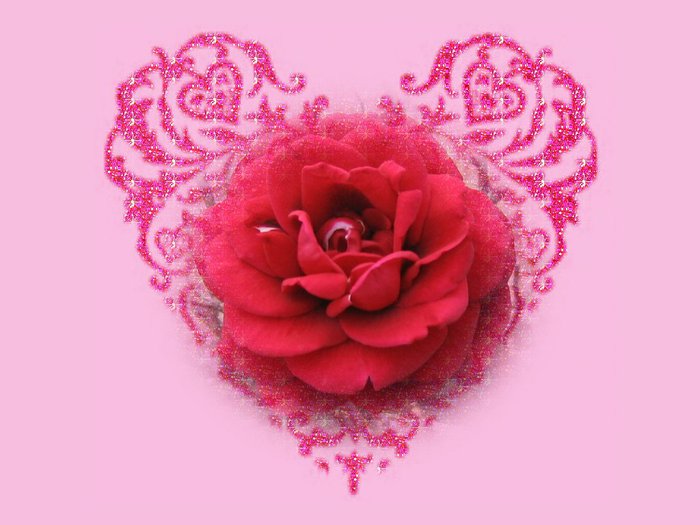 3911698_valentine_wallpaper_rose_1330 (700x525, 56Kb)