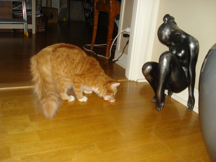 DSC02425 (700x525, 196Kb)