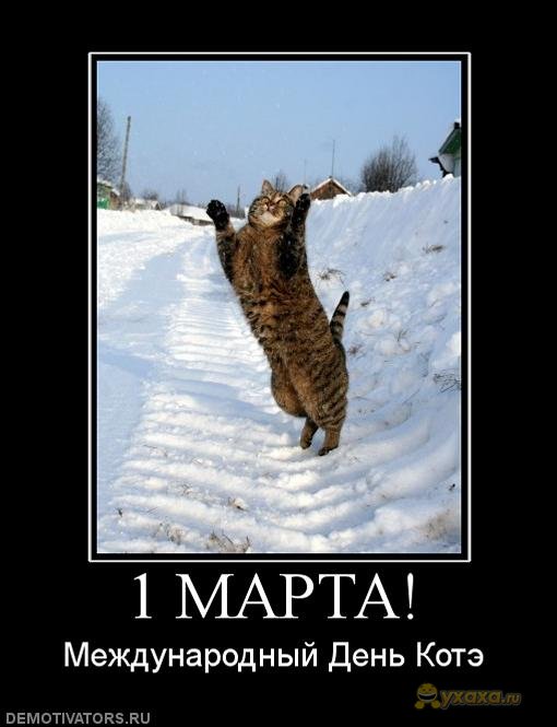 yxaxa_ru_1-marta-den-kote (510x665, 48Kb)
