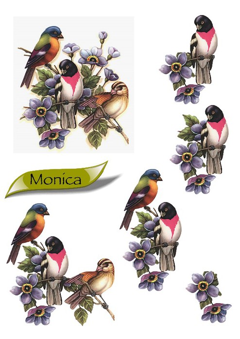 monica-birds-2 (494x700, 84Kb)