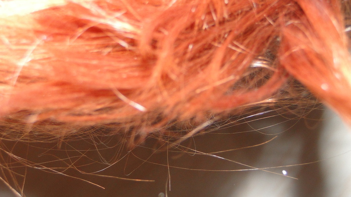 DSC06292 (700x393, 122Kb)