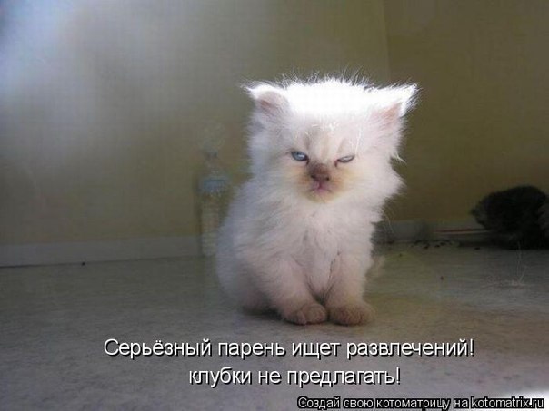 4761151_x_3a17c5e3 (604x453, 39Kb)