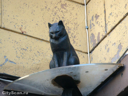 cat02 (500x375, 77Kb)