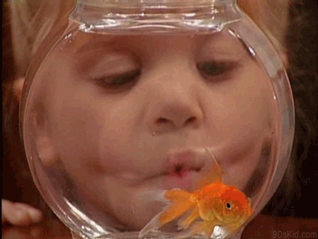 tumblr_lx0bi3H6p91r12diko1_500 (450x338, 475Kb)