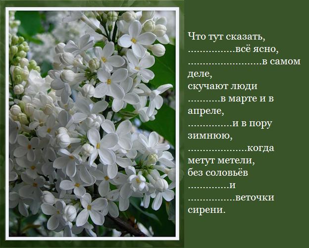 0a127b22ae50ac88e955f714c5dd8301 (624x501, 55Kb)