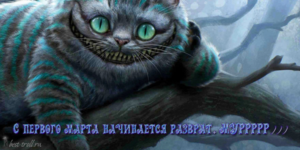 4287072_cats_001 (600x300, 72Kb)