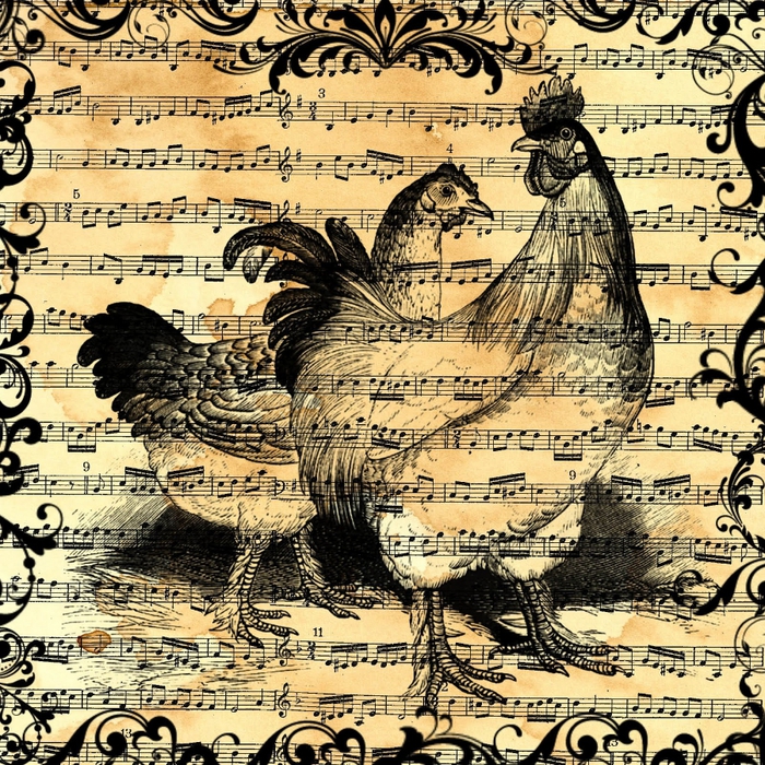 free digital scrapbook paper_sheet music chicken collage (700x700, 562Kb)