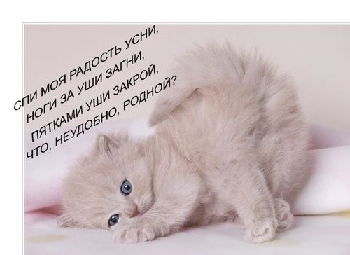  (500x364, 23Kb)