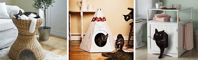 1330336792_cats692x213 (692x213, 109Kb)
