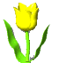 I4a284a1a2316cea7ae3d98d974498c4f[1] (67x71, 17Kb)
