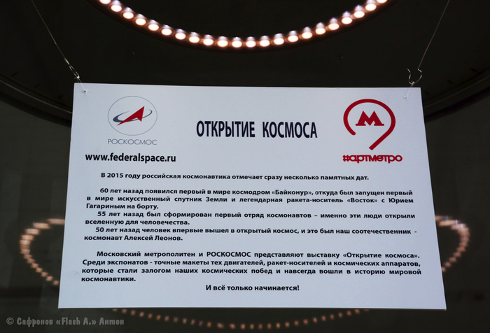 DSC_0440 копия (700x476, 320Kb)