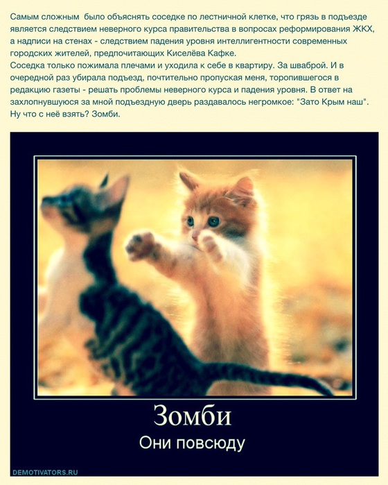 image (560x700, 119Kb)