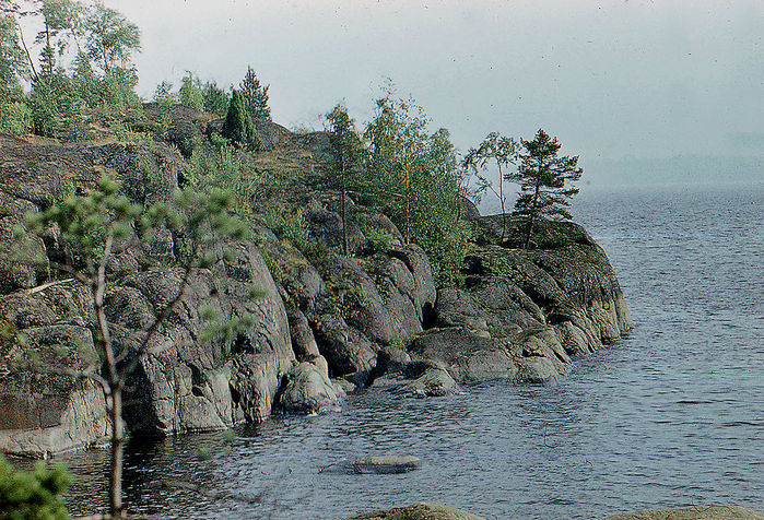 5671928_1024pxLake_Ladoga_Patasaari_island (700x476, 166Kb)