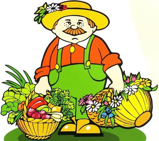 4924802_pamyatka_sadovody_ogorodniky (539x480, 59Kb)