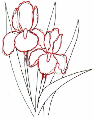 how-to-draw-flowers-and-plants-42 (300x383, 99Kb)