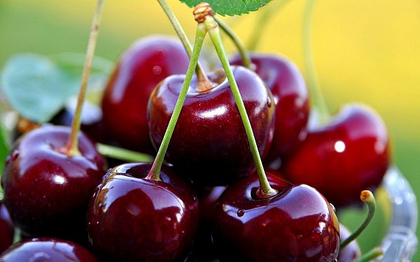 Диетические и ценные и полезные свойства вишни