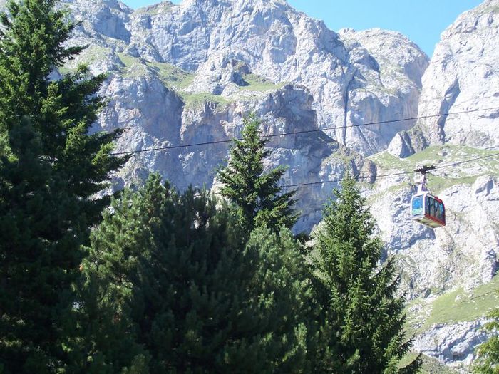 Parque-Nacional-de-los-Picos-de-Europa_50c8693f80f405a80c55521d03690d01938dd2df (700x525, 107Kb)