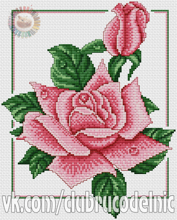 Rose Duet (563x700, 583Kb)