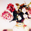 1430499504_121995136_beatifulflowerphotograpypinkFavimcom2084861 (100x100, 39Kb)