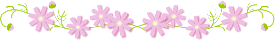 barra flor 6 (567x85, 11Kb)