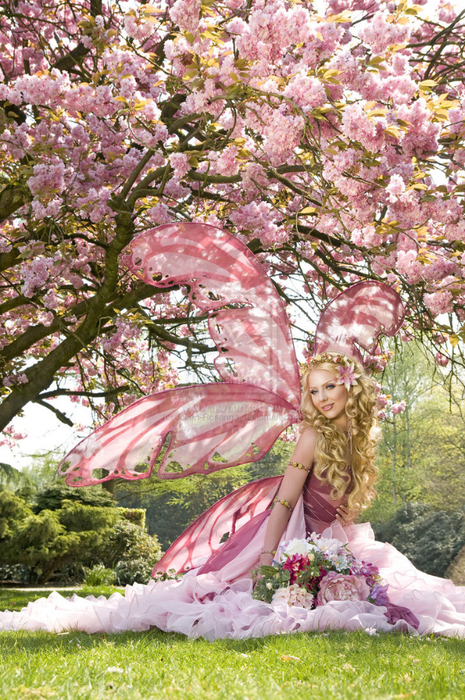 cherry_blossom_by_jolien_rosanne-d2xpsdt (465x700, 581Kb)