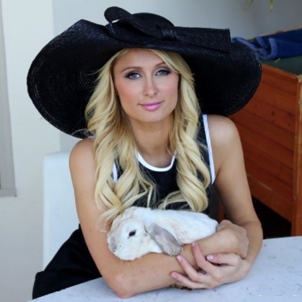 rabbit_parishilton (1) (600x600, 88Kb)