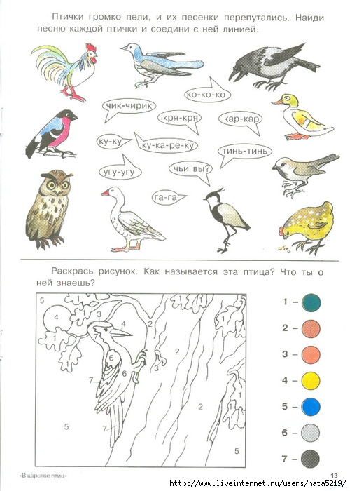 Зимующие и перелетные птицы для дошкольников картинки