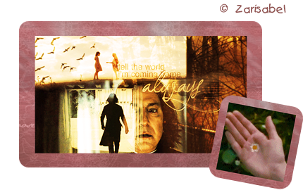 Preview_of (430x270, 178Kb)