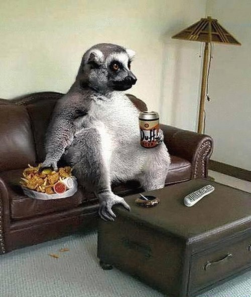 animals_22 (500x593, 65Kb)