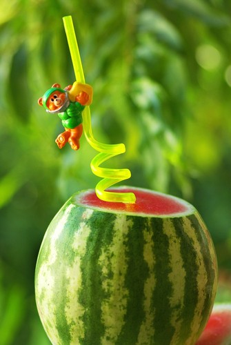 arbuznyj-kryushon_100512224431_100515181822_F (335x500, 38Kb)