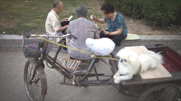 _53322492_012180822-1 (700x393, 60Kb)