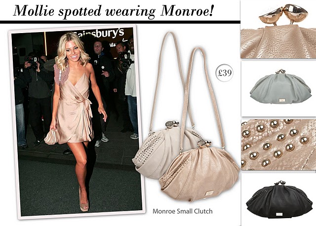   Monroe  Fiorelli/3648511_Mollie_monroe_clutch (640x458, 87Kb)