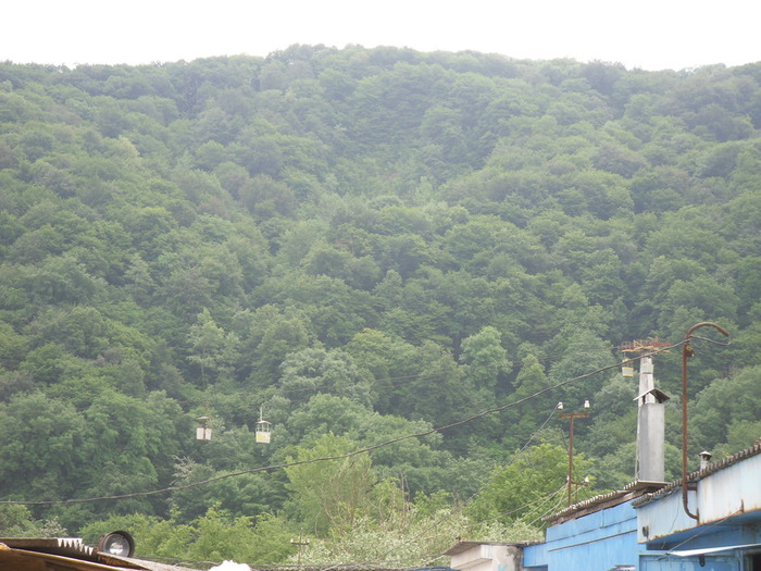 SAM_2580 (700x525, 130Kb)