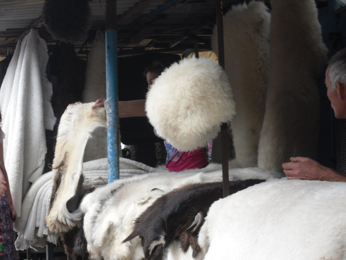 SAM_2575 (700x525, 79Kb)