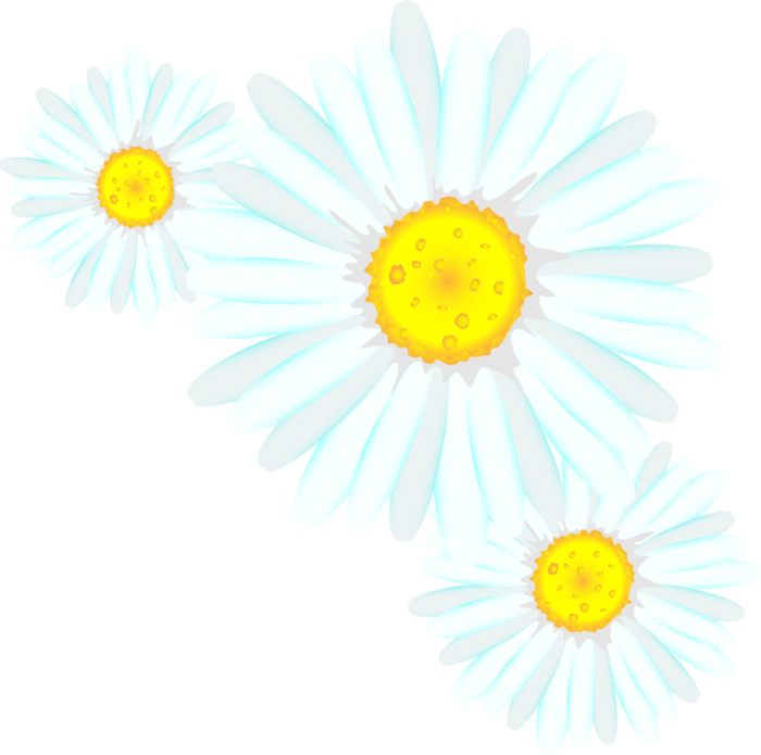 Flowerses (part 2) (21) (700x695, 184Kb)