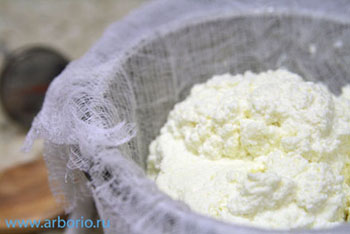 ricotta (350x234, 36Kb)