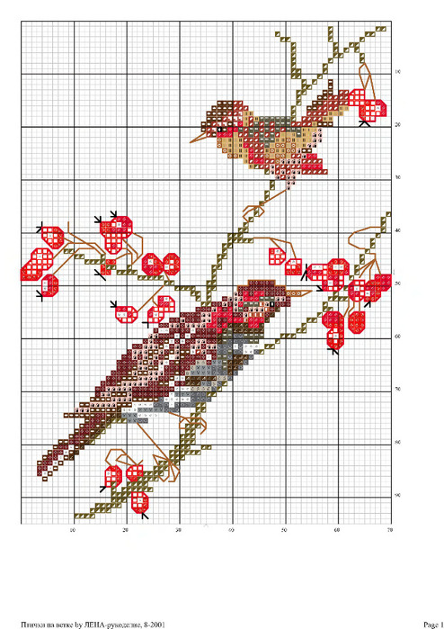 Ветка схема. Вышивка крестом схема птицы на ветке. Схема вышивки крестом птицы с цветами. Схемы вышивки крестом птицы на природе. Французская вышивка крестом цветы и птицы.