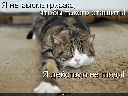 deystvuyu-ne-glyadya_1278383127 (500x375, 42Kb)