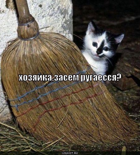 zasem-rugayessya_1298440591 (451x500, 66Kb)