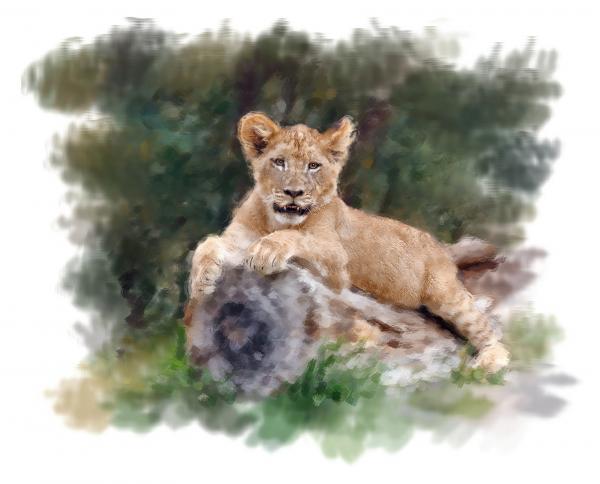 lion-cub-henry-j-yasses_003 (600x484, 30Kb)
