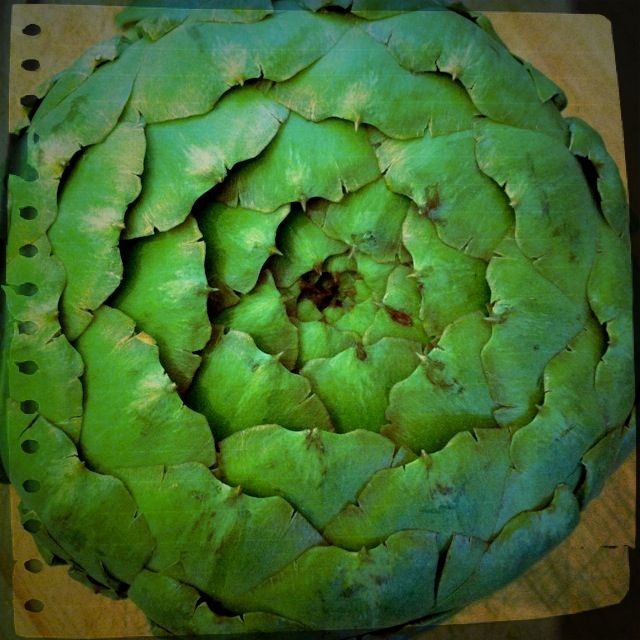 5836767844_57f2f1bff6_o (640x640, 72Kb)