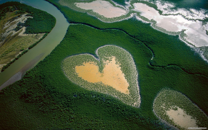 1276598387_heart-in-voh-new-caledonia-french-overseas (700x437, 162Kb)