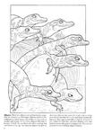  Baby Animals Coloring Book (Dover Pictorial Archives)_9 (306x396, 27Kb)