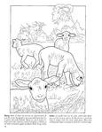  Baby Animals Coloring Book (Dover Pictorial Archives)_15 (306x396, 26Kb)