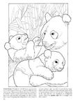  Baby Animals Coloring Book (Dover Pictorial Archives)_19 (306x396, 24Kb)