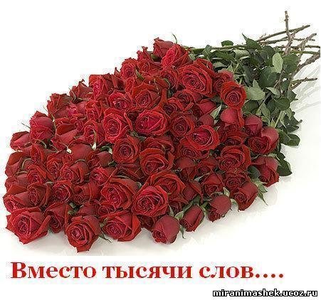69047830_632512820_vmesto_tuysyachi_slov.gif (451x422, 50Kb)