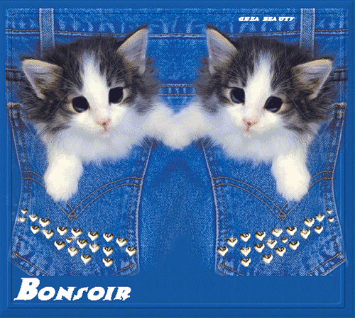 bonsoir (500x449, 331Kb)