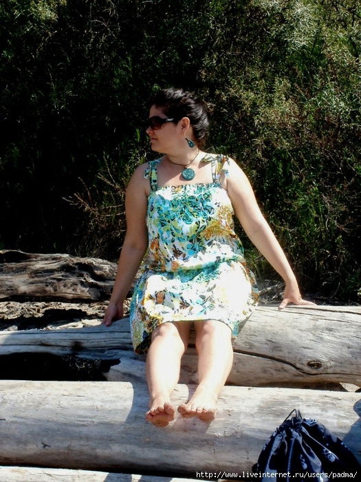 P6190154 (525x700, 331Kb)