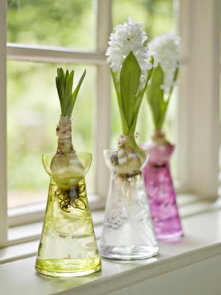 glass-vases-creative-ideas1-4 (450x600, 54Kb)