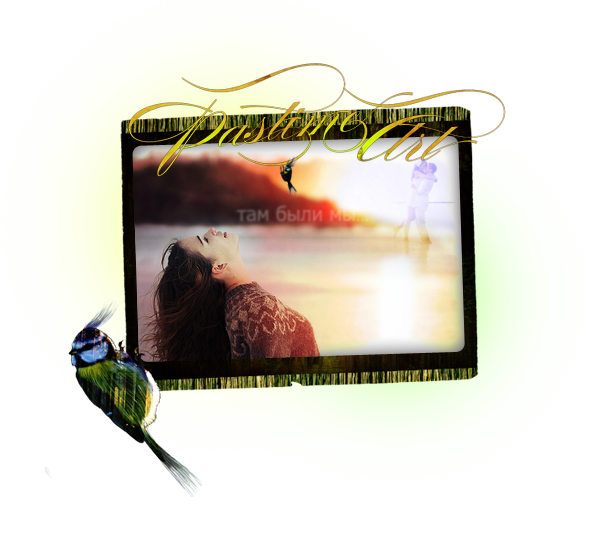  (, ) (600x550, 255Kb)